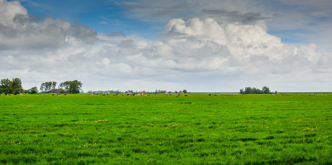Meetjesland landschap